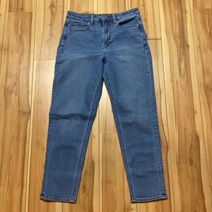 EUC American Eagle Mom Jeans